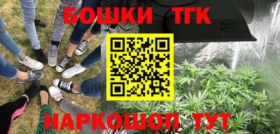 гашик Обь