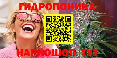 гашик Обь