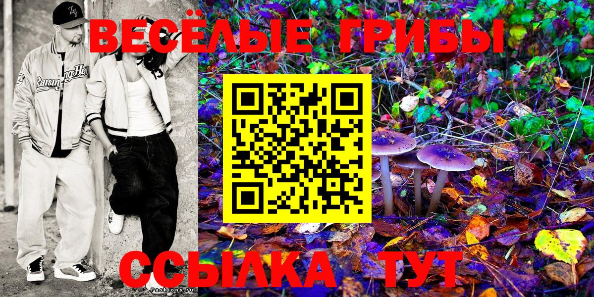Галлюциногенные грибы Magic Shrooms  Вход с VPN  Тавда 