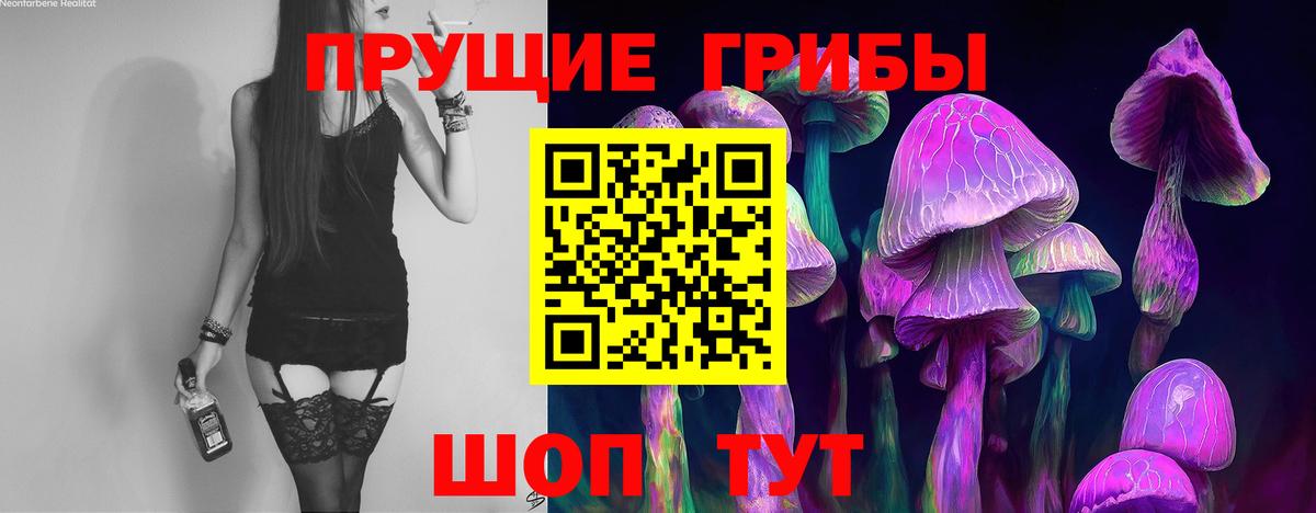 Псилоцибиновые грибы прущие грибы Тавда